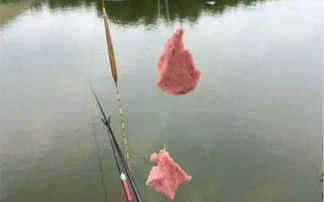 全家福钓鱼饵料怎么调漂，让每一次垂钓都成为温馨记忆