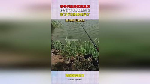 七星漂钓鱼饵料挂法，从新手到高手的完整指南