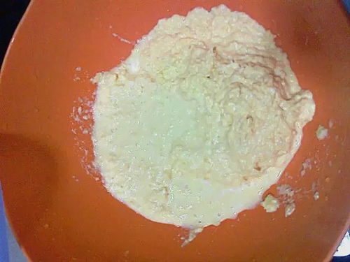 俄罗斯钓鱼饵料椰子奶油的制作方法