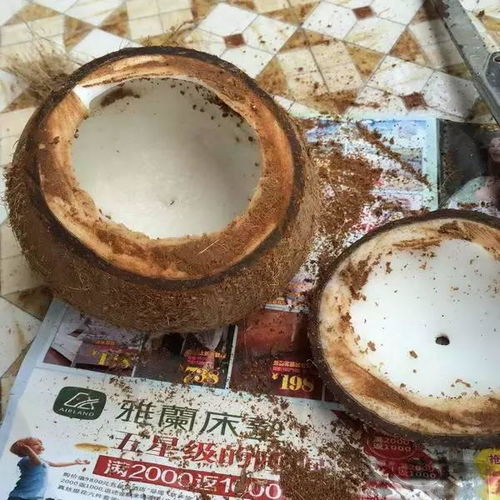 谷糠变废为宝，自制钓鱼饵料的秘诀