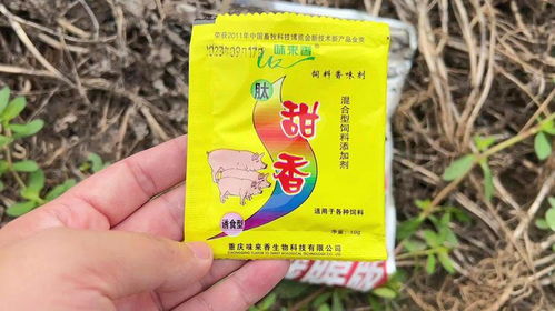 水猴子钓鱼饵料深度评测，效果、成分与使用指南