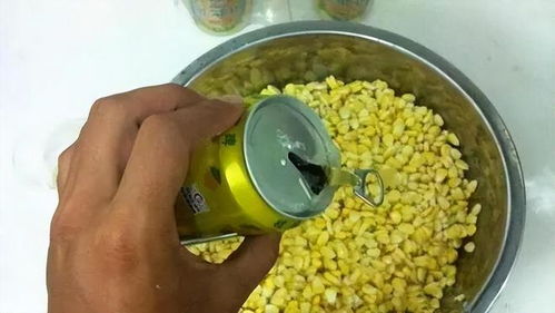自制保温箱钓鱼饵料，简单易行的制作指南