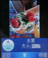 鲤灵灵钓鱼饵料怎么样，全面评测与使用心得