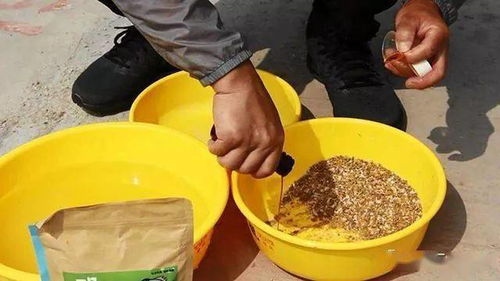 钓鱼饵料粘合添加剂的正确使用方法