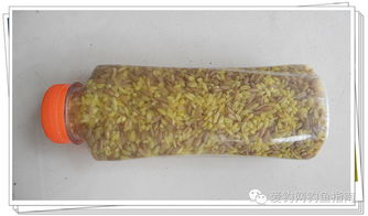 熟牛肝钓鱼饵料自制秘方，让鱼儿疯狂咬钩的钓鱼神器