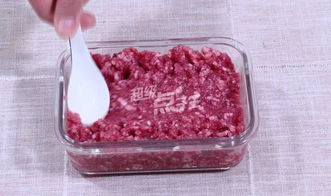 自制钓鱼饵料肉夹膜，简单易做，鱼儿最爱！