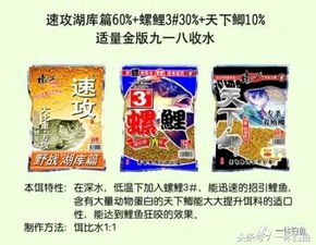 碧洋海钓鱼饵料怎么样？全面评测与使用体验