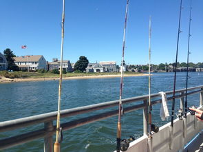 Mastering Sea Rod Fishing:A Comprehensive Video Guide to Fishing Techniques