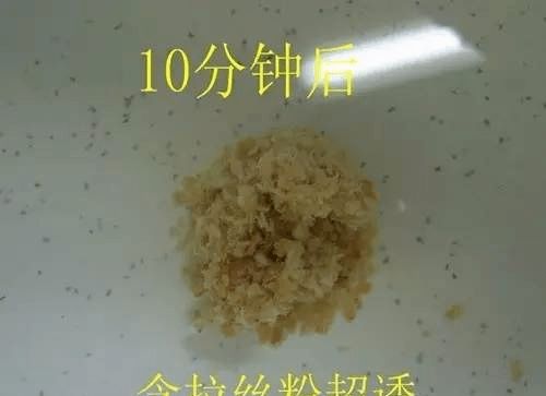 氨基酸钓鱼饵料的科学配方与制作方法