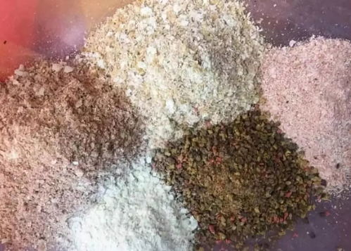 离底钓鱼饵料制作全攻略，手把手教你拍出专业饵料视频