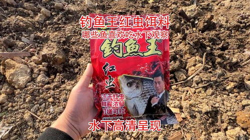 钓鱼王的草鱼饵料怎么样？