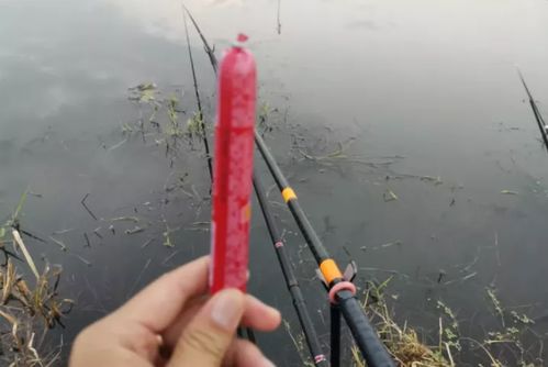 垂钓饵料粉碎机使用指南，提升钓鱼效率的必备装备