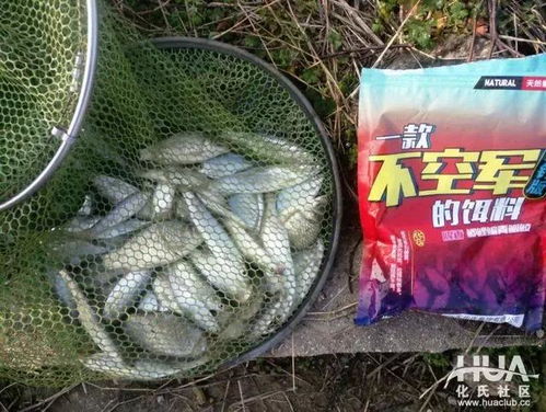萌山水库钓鱼饵料怎么样？
