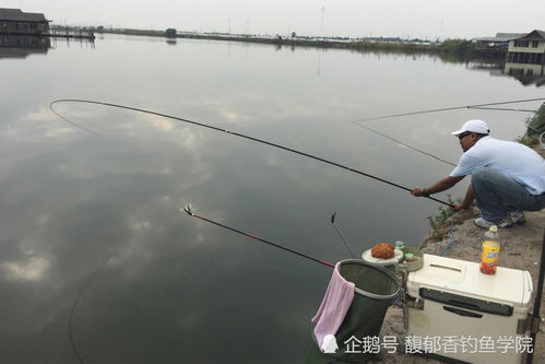海杆漂钓，饵料选择与使用全攻略
