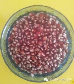 小豌豆的魔力，打造无敌钓鱼饵料的秘诀