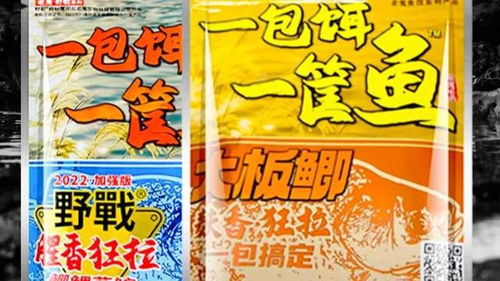 野钓饵料秘籍，从入门到精通的饵料选择与制作全攻略