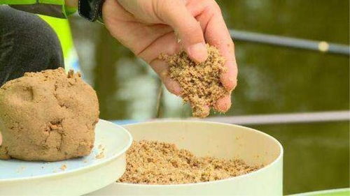 钓鱼饵料窝料太多怎么办？这些方法帮你轻松解决！