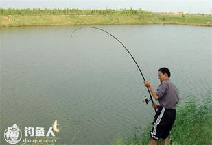 海竿用的钓鱼饵料怎么用